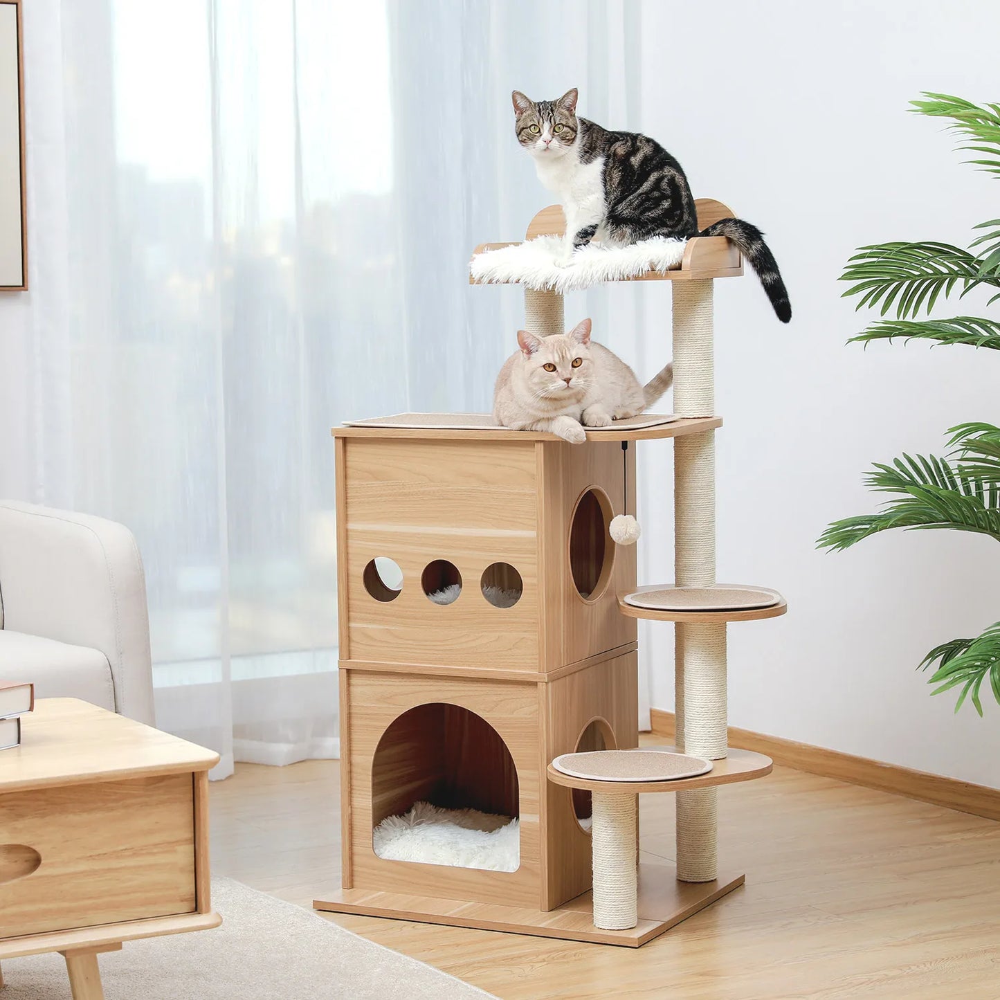 Cat Bed Furniture
