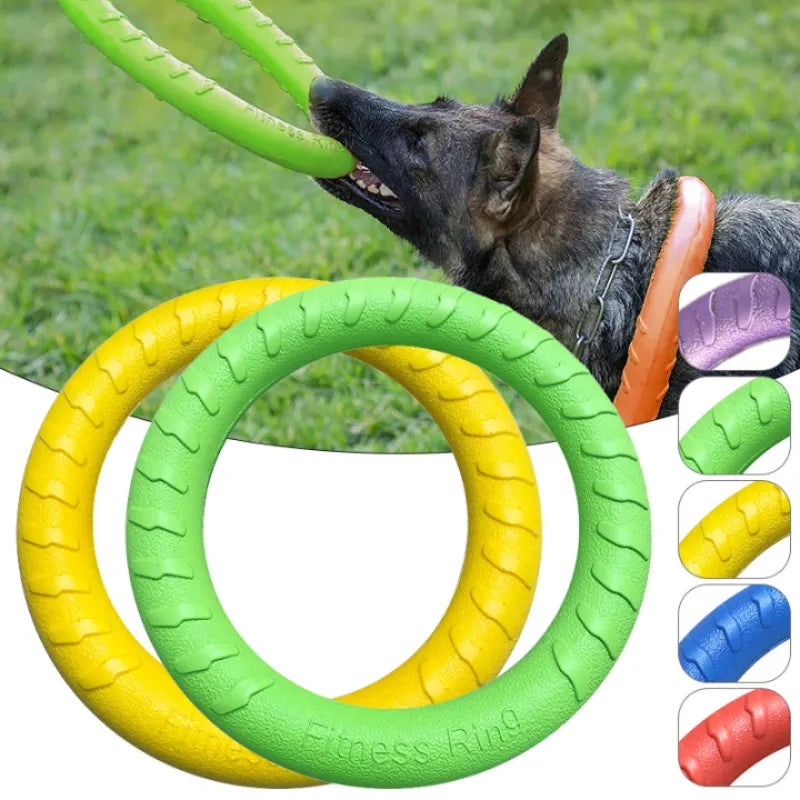 Flying Disc