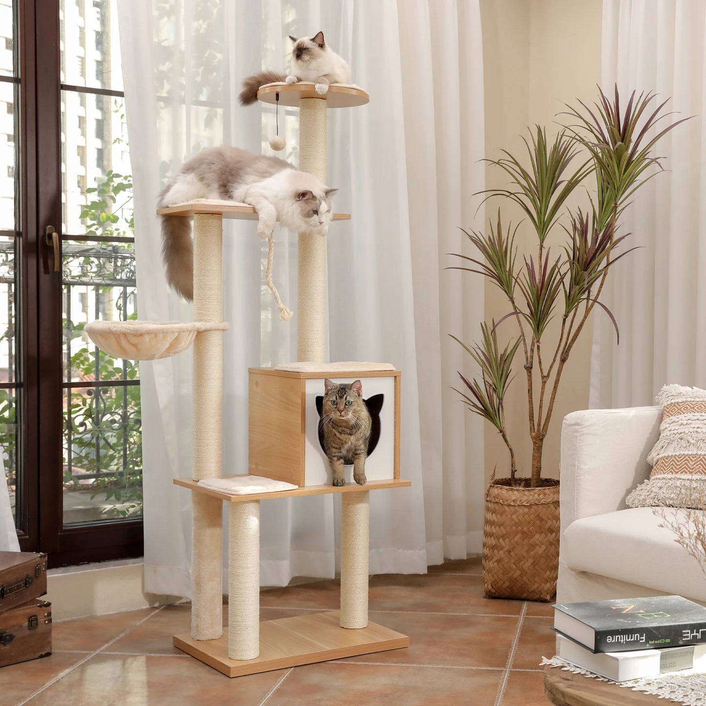 Cat Bed Furniture