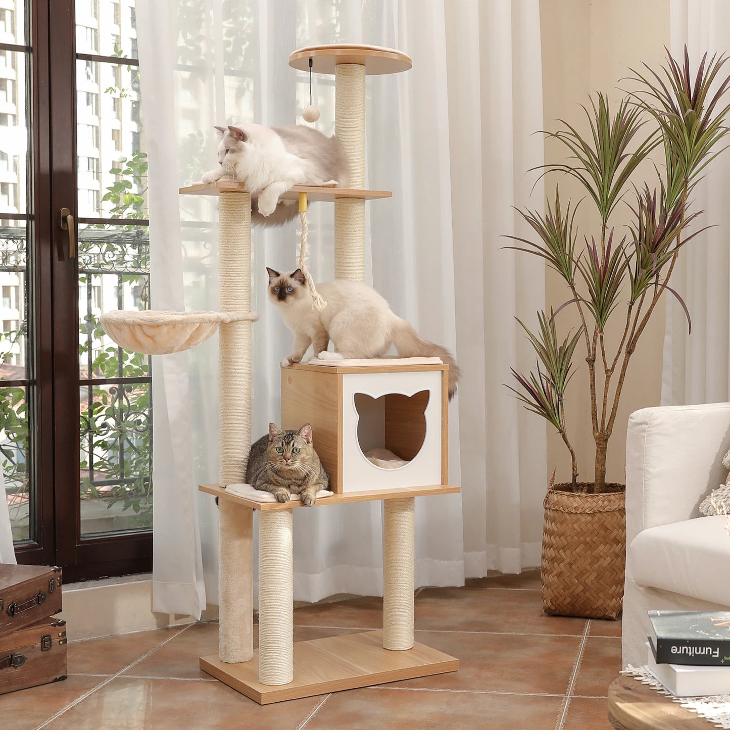 Cat Bed Furniture