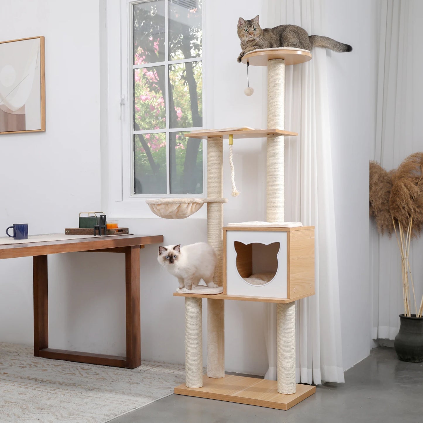 Cat Bed Furniture